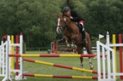 15-1IMG_0008