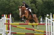15-1IMG_0029