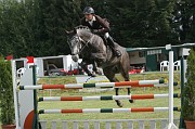 11IMG_0004
