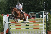 11IMG_0010