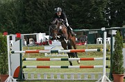 11IMG_0019