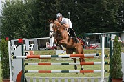 11IMG_0060