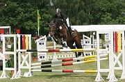 12IMG_0048