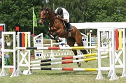 13IMG_0008