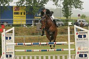 15IMG_0006