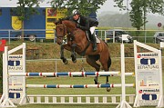 15IMG_0012