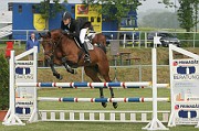 15IMG_0032