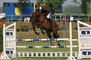 15IMG_0050