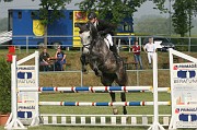 15IMG_0052