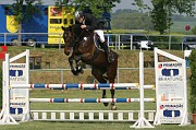 16IMG_0006