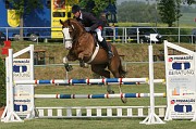 16IMG_0008