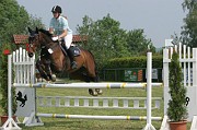 9IMG_0003