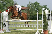 9IMG_0005
