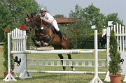 9IMG_0007