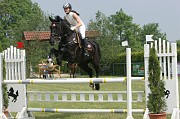 9IMG_0008
