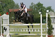 9IMG_0020