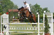 9IMG_0026