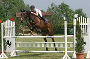 9IMG_0032