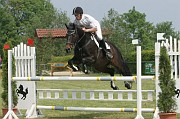 9IMG_0036