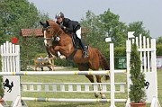 9IMG_0046