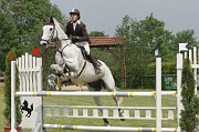9IMG_0071