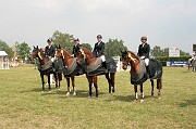 10IMG_0401