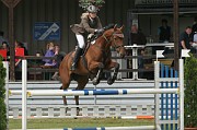 4-2IMG_0012