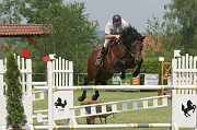5-1IMG_0029
