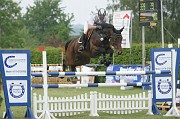 5-1IMG_0053