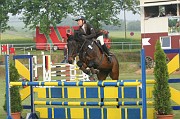 06-1IMG_0019