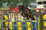 6-2IMG_0009