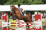 08IMG_0004