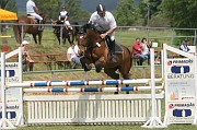 18IMG_0020