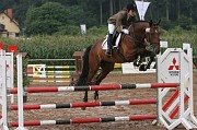 IMG_0019