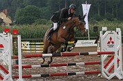IMG_0029