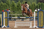 IMG_0012