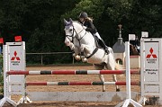 IMG_0036