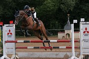 IMG_0006