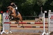 IMG_0016