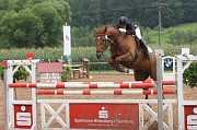 IMG_0012