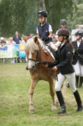 6-1IMG_0024