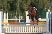 IMG_0046