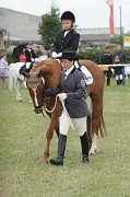 01-1IMG_0022