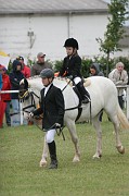 01-2IMG_0003