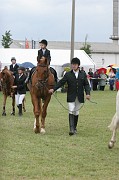 01-2IMG_0004