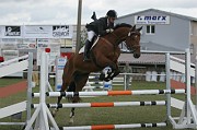 13IMG_0008
