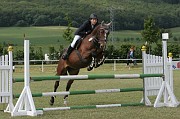17-1IMG_0009