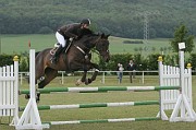 17-2IMG_0006