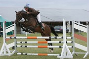 19IMG_0003