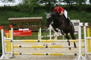 12_IMG_0043